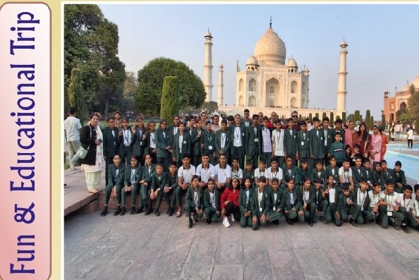 Education Background